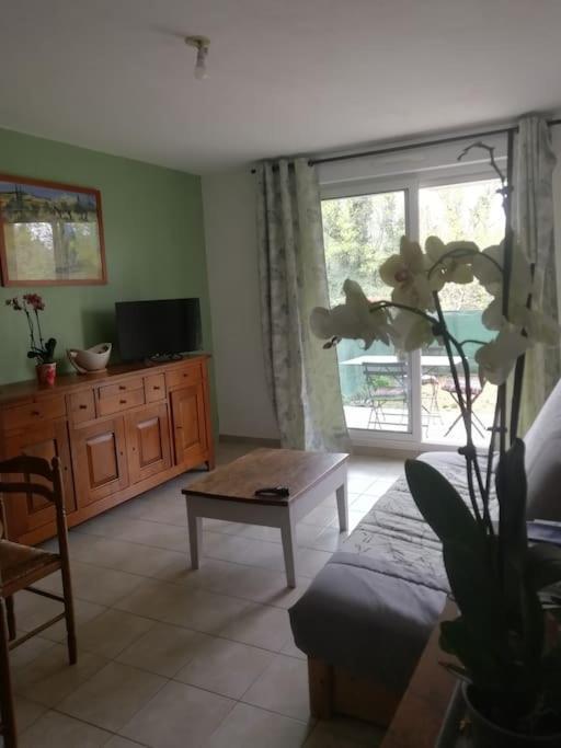 Appartement Avignon Garage-Spacieuse Terrasse المظهر الخارجي الصورة